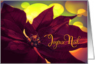 French Merry Christmas Joyeux Noel Burgundy Poinsettia card