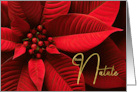 Italian Buon Natale Christmas Wine Colored Poinsettia card