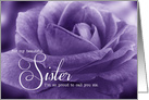 for Sister from Sister on Mother’s Day Lavender Purple Rose card