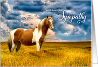 Sympathy for the Horse Lover Western Theme Meadow card