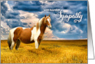 Sympathy for the Horse Lover Western Theme Meadow card