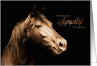 Pet Sympathy Loss of a Horse Sepia Toned Photograph card