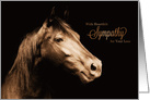 Pet Sympathy Loss of a Horse Sepia Toned Photograph card