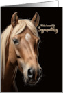 Pet Sympathy Loss of a Horse Photograph on Black card