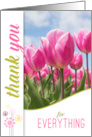 Thank You for Everything Pink Tulip Garden Blooms Blank card