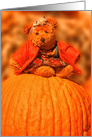Autumn Teddy Bear Sitting on a Pumpkin Blank Any Occasion card
