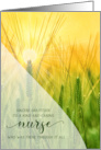 Thank You Nurse Summer Grasses Sunlit Nature card