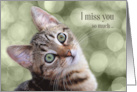 I Miss You So Much I Can’t Purr Cute Tabby Kitty card