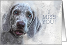 Missing You Watercolor Weimaraner Puppy card