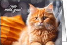 Missing You Orange Tabby Cat Relaxing card