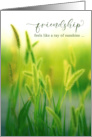 Friendship is Like a Ray of Sunshine Yellow Rose card