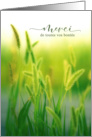 Merci Thank You French Language Summer Grasses card