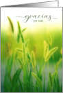 Gracias Thanks for Everything Spanish Summer Grasses card