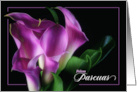 Spanish Easter Felices Pascuas Purple Calla Lilies Blank card