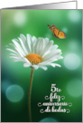 5th Spanish Anniversario Wedding Anniversary White Daisy card