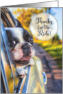 Thanks for the Ride Cute Dog in a Car Window card