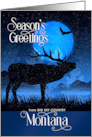 Montana Big Sky Country Woodland Moose Blue Starry Sky card