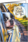 Can’t Wait to See You Dog in a Car Window card