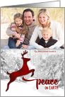 Peace on Earth Red Leaping Reindeer Custom Photo card