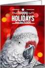 From the Flock Christmas African Gray Parrot card