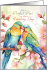 Wedding Congratulations Pair of Lovebird Parakeets card