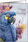 Birthday Hyacinth Macaw Parrot in Blue and Purple card