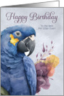 Pet Sitter Birthday Hyacinth Macaw Parrot Custom card