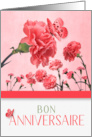 French Birthday Bon Anniversaire Pink Carnations card