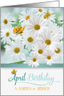 April Birthday Daisies with Butterflies and a Lizard card