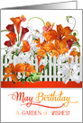 May Birthday Lily Garden with Butterflies and a Frog card