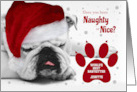 for Babysitter Custom Christmas Bulldog in a Santa Hat card
