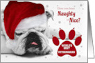 for Veterinarian Christmas Bulldog Naughty or Nice Theme CUSTOM card