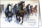 Colorado Wild Horses Western Theme Custom Christmas card