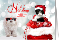 for Veterinarian Custom Holiday with Kitten and Bulldog card