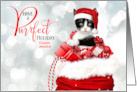 for Cousin Christmas Kitten for a Purrfect Holiday with Custom Name card