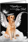 Loss of a Dog Golden Retriever Angel Pet Sympathy card