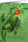 Loss of a Pet Bird Pet Sympathy Lovebird Parakeet card