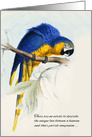 Loss of a Bird Pet Sympathy Blue and Gold Macaw Parrot card