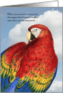 Loss of a Bird Pet Sympathy Rainbow Macaw Parrot card