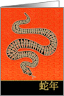 Year of the Snake Chinese New Year Standard Mandarin card