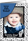 for Adopted Grandson on Gotcha Day or Adoption Anniversary card