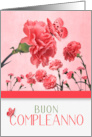 Italian Birthday Buon Compleanno! Pink Carnations card
