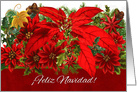 Spanish Language Christmas Poinsettias Feliz Navidad! card