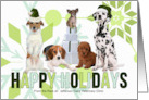 From the Pack or Group Custom Green Holiday Dogs card