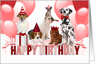 from All of Us Funny Birthday Pack Dogs in Red and Pink card