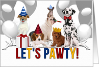 Cute Pack of Dogs in Party Hats Birthday Party Invitation card