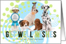 Get Well Cute Pack of Dogs for Pet Related Business Custom Text card