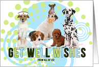From the Group Get Well Wishes Pack of Cute Dogs card