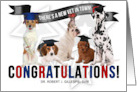 Custom Veterinary Graduate Congratulations Graduating Dogs card