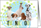 Thank You Pack of Cute Dogs with Blue and Green Geometric Blank card